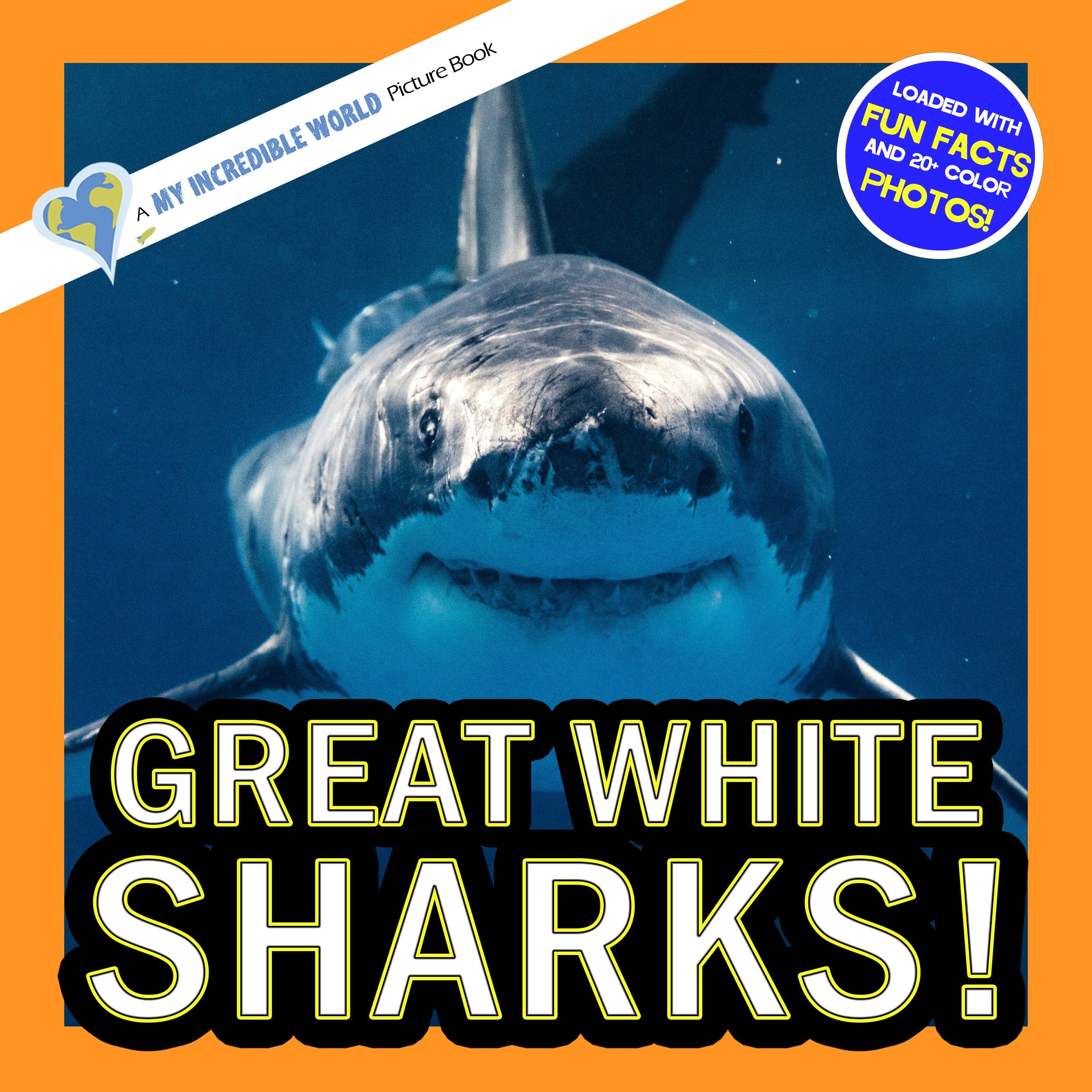Great White Sharks! A My Incredible World Picture Book for Children